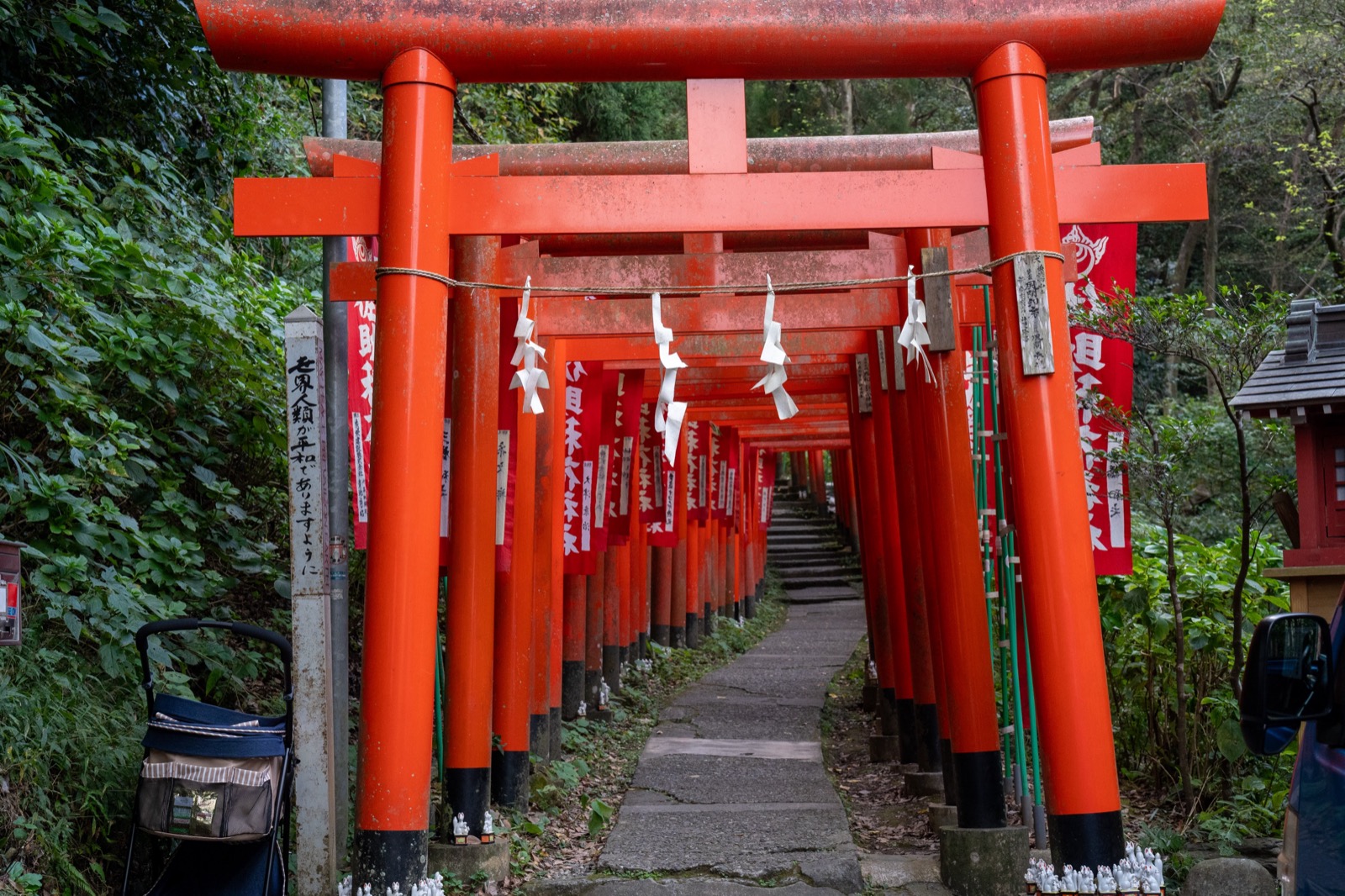 A path of small red torii gates